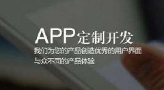 APP定制開發