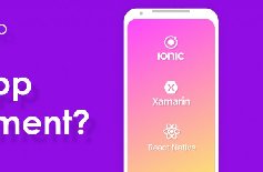 為什么要定制APP開(kāi)發(fā)，APP開(kāi)發(fā)定制的好處？